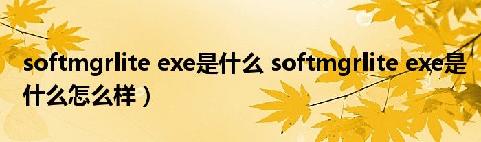 softmgrlite exe是什么 softmgrlite exe是什么怎么样）