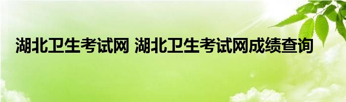 湖北卫生考试网 湖北卫生考试网成绩查询