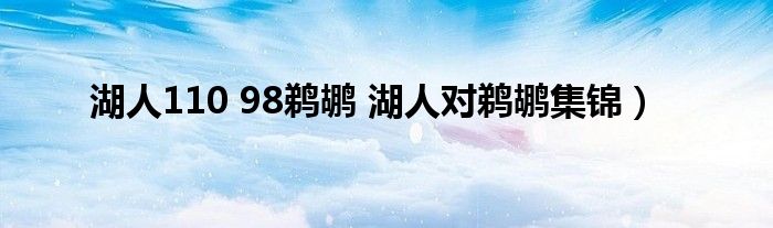 湖人110 98鹈鹕 湖人对鹈鹕集锦）