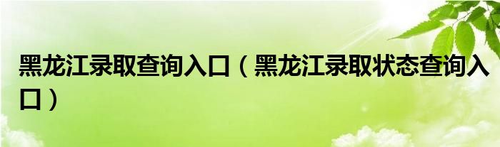 黑龙江录取查询入口（黑龙江录取状态查询入口）
