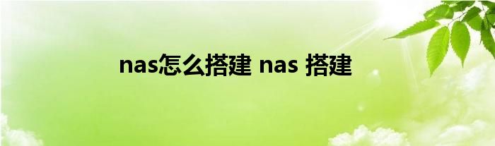 nas怎么搭建 nas 搭建