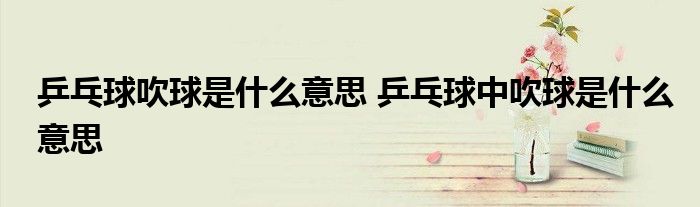 乒乓球吹球是什么意思 乒乓球中吹球是什么意思