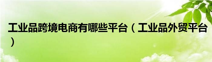 工业品跨境电商有哪些平台（工业品外贸平台）