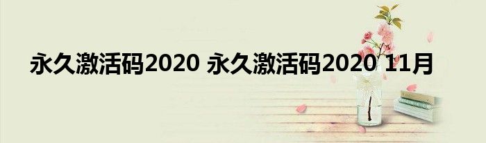 永久激活码2020 永久激活码2020 11月