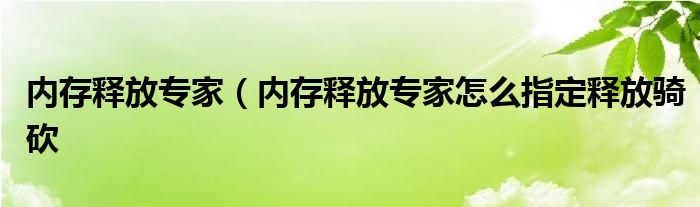 内存释放专家（内存释放专家怎么指定释放骑砍