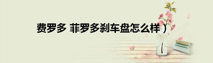 费罗多 菲罗多刹车盘怎么样）