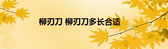 柳刃刀 柳刃刀多长合适