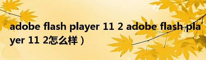adobe flash player 11 2 adobe flash player 11 2怎么样）