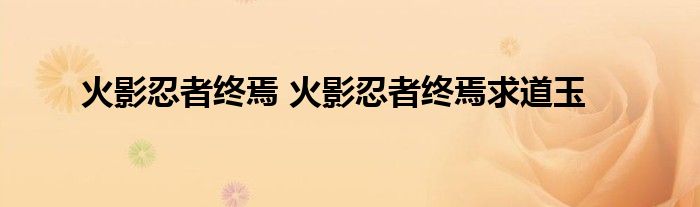 火影忍者终焉 火影忍者终焉求道玉
