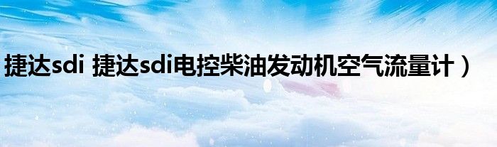 捷达sdi 捷达sdi电控柴油发动机空气流量计）