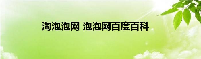 淘泡泡网 泡泡网百度百科