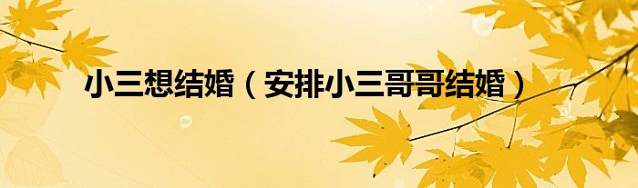 小三想结婚（安排小三哥哥结婚）