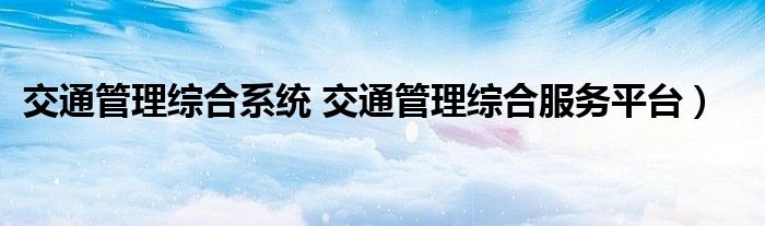 交通管理综合系统 交通管理综合服务平台）