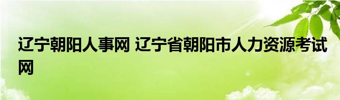 辽宁朝阳人事网 辽宁省朝阳市人力资源考试网