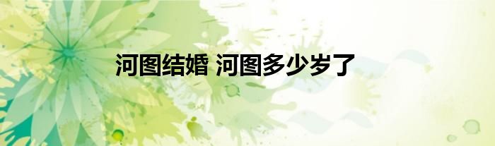 河图结婚 河图多少岁了