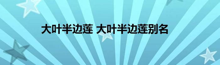 大叶半边莲 大叶半边莲别名