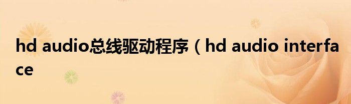 hd audio总线驱动程序（hd audio interface