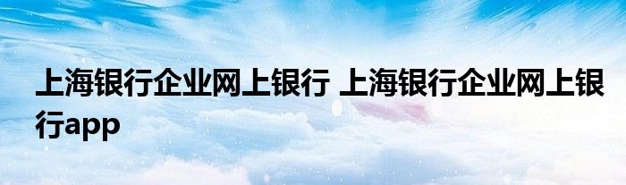 上海银行企业网上银行 上海银行企业网上银行app