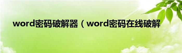 word密码破解器（word密码在线破解