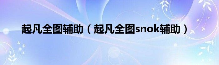 起凡全图辅助（起凡全图snok辅助）