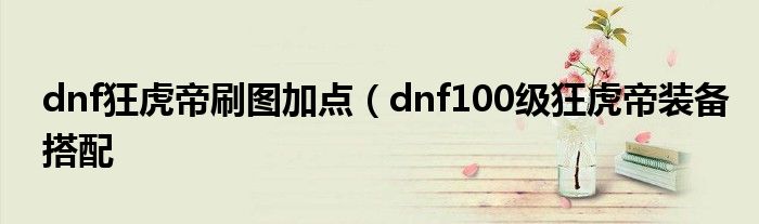dnf狂虎帝刷图加点（dnf100级狂虎帝装备搭配