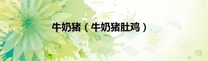 牛奶猪（牛奶猪肚鸡）