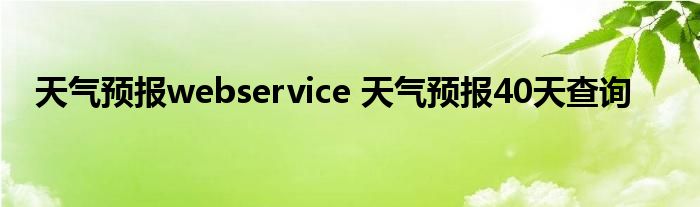 天气预报webservice 天气预报40天查询