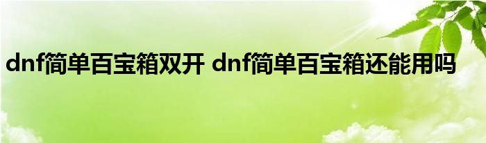 dnf简单百宝箱双开 dnf简单百宝箱还能用吗