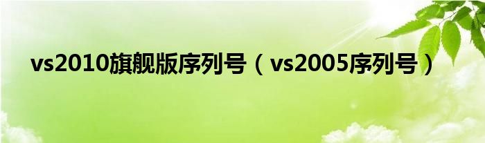 vs2010旗舰版序列号（vs2005序列号）