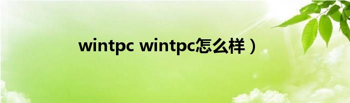 wintpc wintpc怎么样）