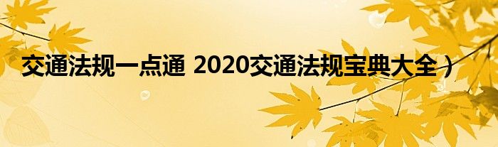交通法规一点通 2020交通法规宝典大全）