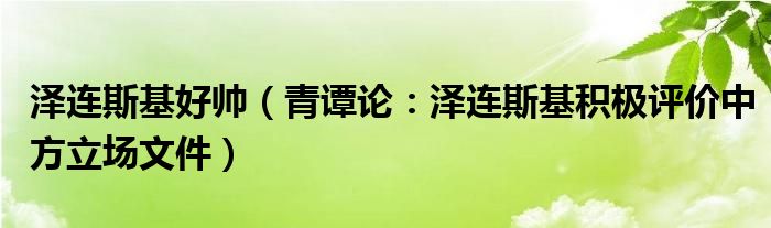 泽连斯基好帅（青谭论：泽连斯基积极评价中方立场文件）