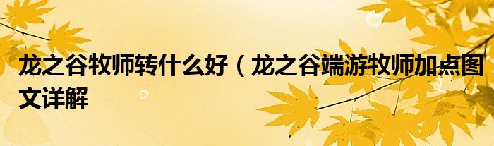 龙之谷牧师转什么好（龙之谷端游牧师加点图文详解