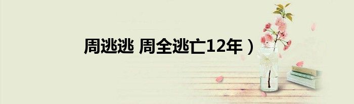 周逃逃 周全逃亡12年）