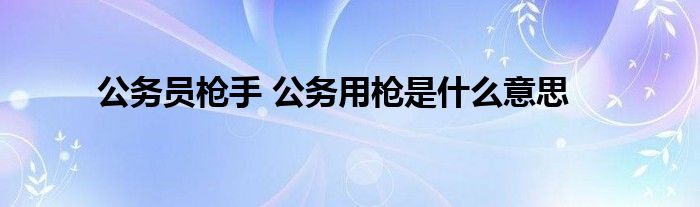 公务员枪手 公务用枪是什么意思