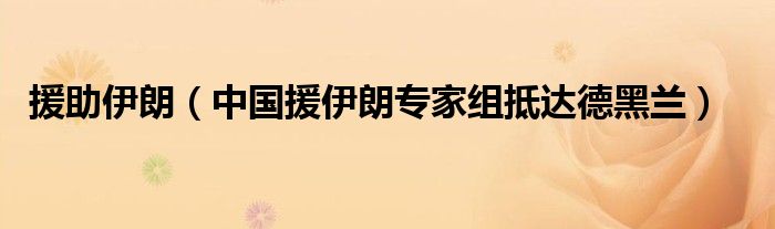援助伊朗（中国援伊朗专家组抵达德黑兰）