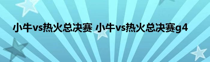 小牛vs热火总决赛 小牛vs热火总决赛g4