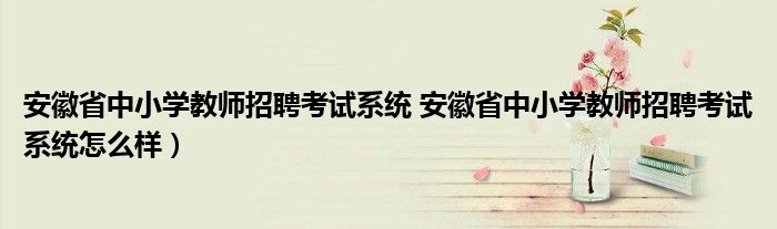 安徽省中小学教师招聘考试系统 安徽省中小学教师招聘考试系统怎么样）