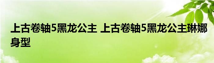 上古卷轴5黑龙公主 上古卷轴5黑龙公主琳娜身型