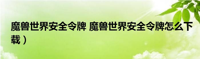 魔兽世界安全令牌 魔兽世界安全令牌怎么下载）