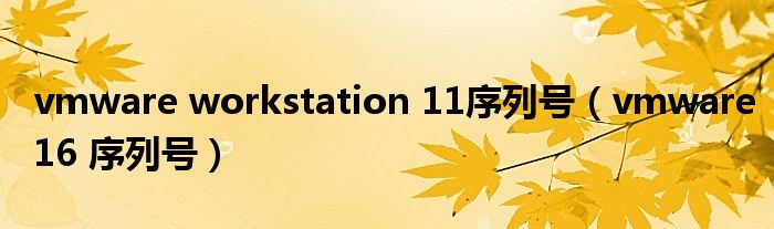 vmware workstation 11序列号（vmware16 序列号）