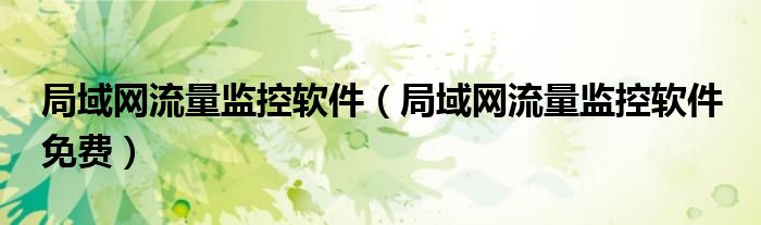局域网流量监控软件（局域网流量监控软件 免费）