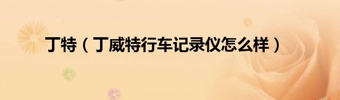 丁特（丁威特行车记录仪怎么样）