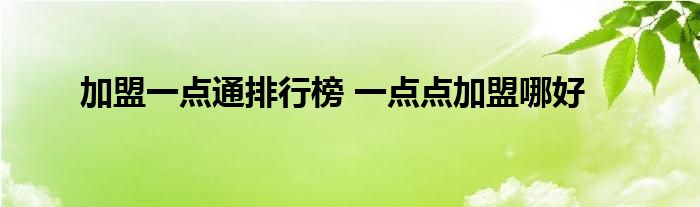 加盟一点通排行榜 一点点加盟哪好