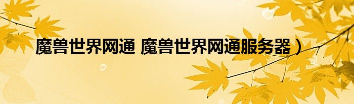 魔兽世界网通 魔兽世界网通服务器）