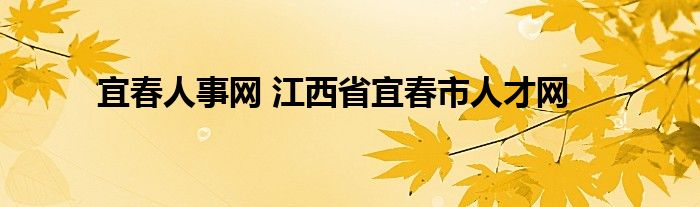 宜春人事网 江西省宜春市人才网