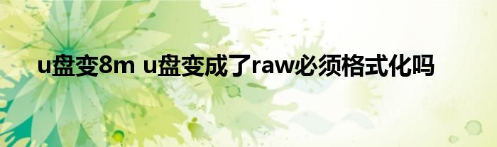 u盘变8m u盘变成了raw必须格式化吗