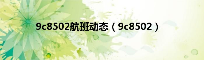 9c8502航班动态（9c8502）