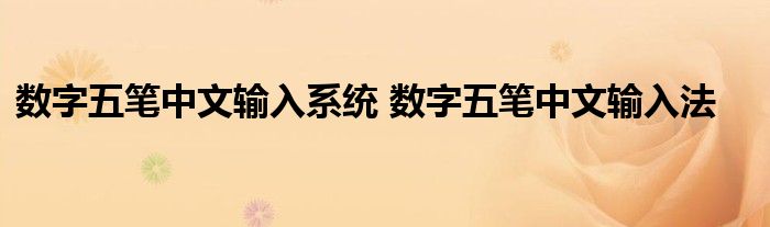 数字五笔中文输入系统 数字五笔中文输入法