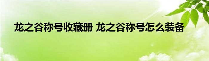 龙之谷称号收藏册 龙之谷称号怎么装备